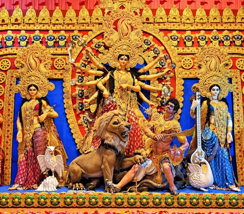 Ekdalia Evergreen